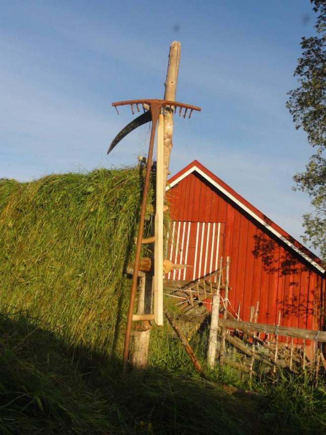 11217821_975870232435257_5761761629420802342_n